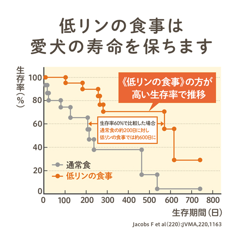 低リンの食事は愛犬の寿命を保ちます