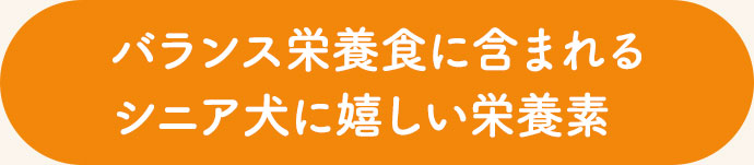 バランス栄養食に含まれるシニア犬に嬉しい栄養素