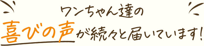 ワンちゃん達の喜びの声が続々と届いています!