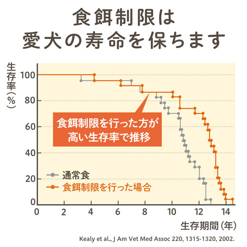 食餌制限は愛犬の寿命を保ちます